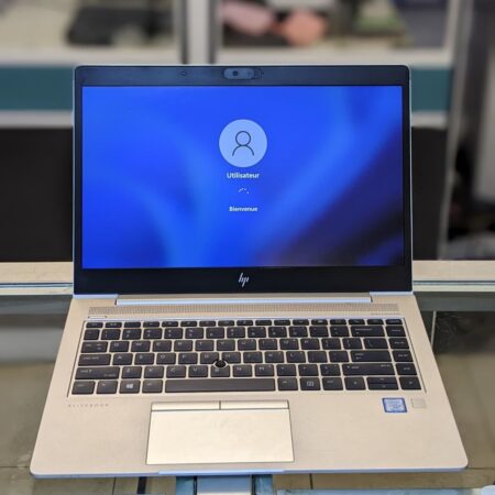Ordinateur Portable HP EliteBook 745 G5, Amd Ryzen 5 PRO (Core-I7), 256Go Disque dur SSD, 8Go de RAM, 1 Go Dédié de Carte graphique